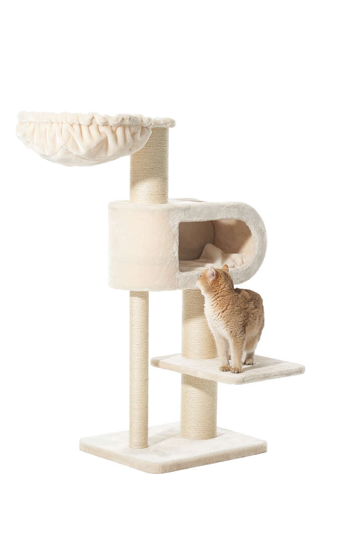 Nobby Kratzbaum Tove